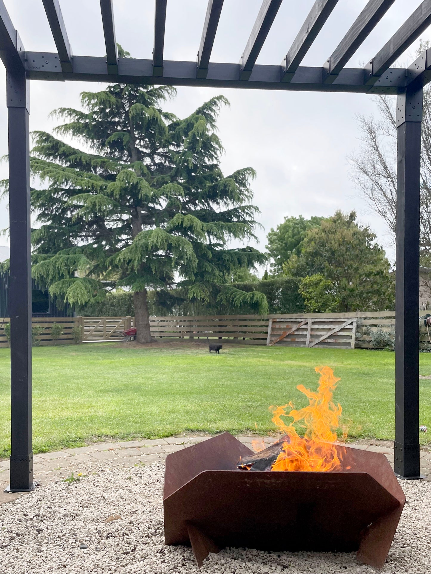 Carter - Fire Pit